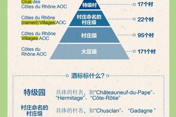 探索年份的秘密：每个年份背后的命运密码