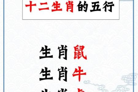 2023兔年命理分析：兔子的五行属性与运势缺失解析