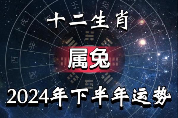 明年兔年将带来什么命运？好运的解读与心灵的指引