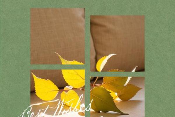 1998年正月十四的命运解析：揭秘你的命中注定的精彩人生