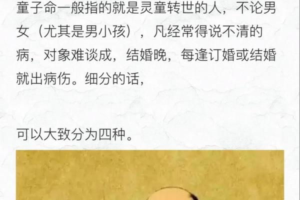 1981年酉鸡命：探索其命理与人生智慧的深度解析