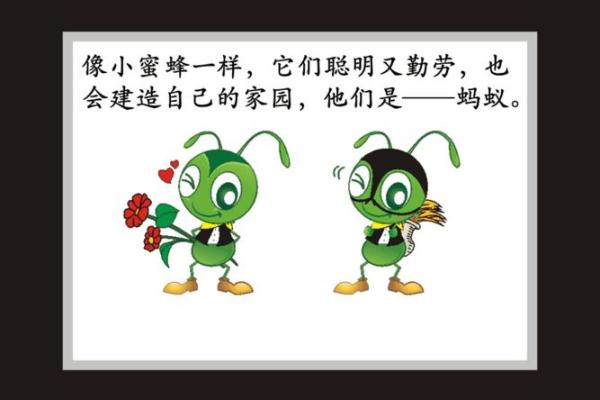 忙碌生活中的动物象征：你是“蚂蚁”还是“蜜蜂”？