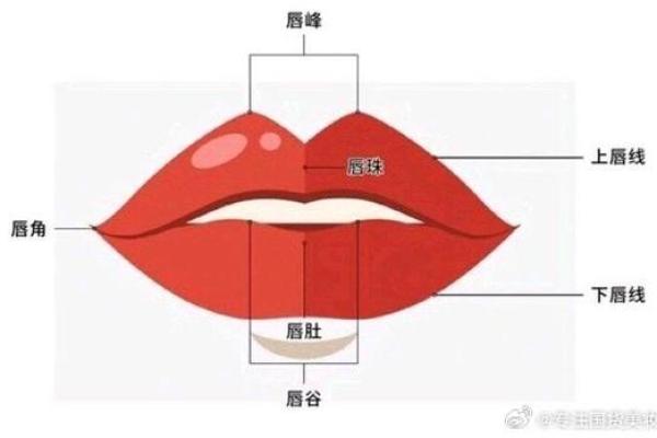探秘嘴唇之美：唇形与命运之间的神秘联系