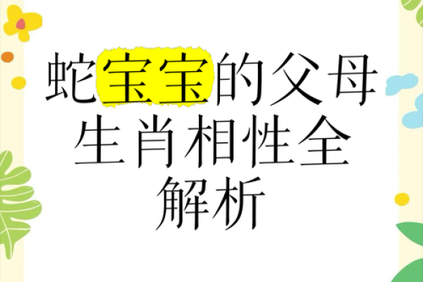 老鼠与蛇：命理中动物的象征与内在智慧