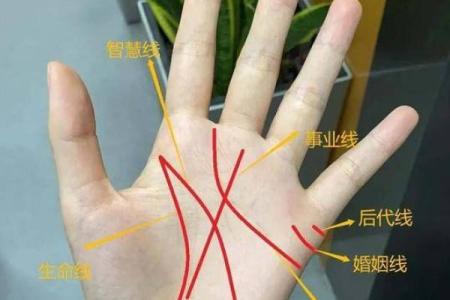 揭秘手相：如何通过手掌分辨命运与性格