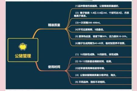 猪水命适合的工作与职业发展之路探究