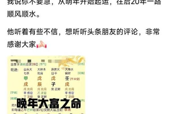 2023年47虎命解析：解锁命运背后的秘密与未来机会