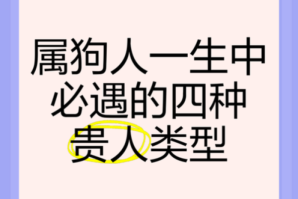 属狗富贵命：揭开性格、财富与生肖之间的神秘关联