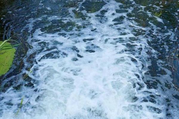 2002年水命人：潜藏的智慧与无尽的可能性