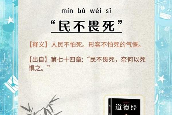 根命流转，成语背后的文化智慧与人生哲理