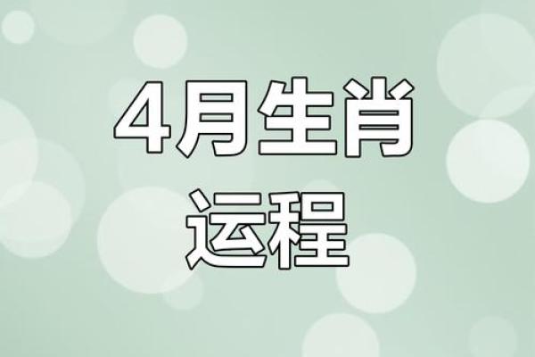 2024年属命解析：个性、情感与事业的完美结合