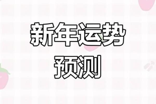 2024年属命解析：个性、情感与事业的完美结合
