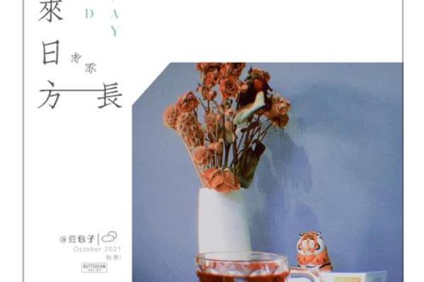 命签中的玫瑰命：揭示命运之花的美丽与挑战