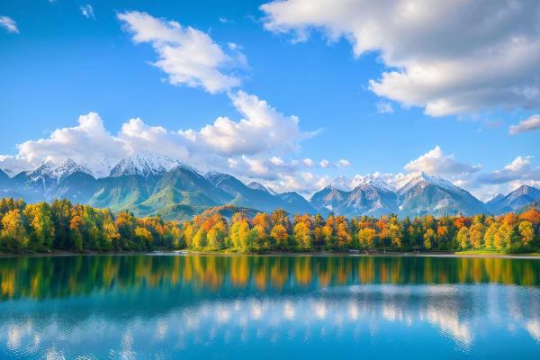 大林木命者的最佳配饰选择：自然与优雅的完美结合