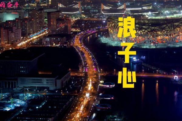 腊月情怀：透视2001年腊月的命运与人心之旅