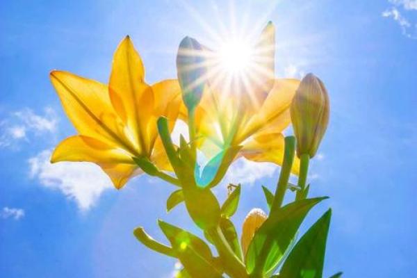 1993年11月：命运之月，重塑人生与情感的契机