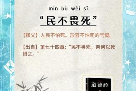 根命流转，成语背后的文化智慧与人生哲理