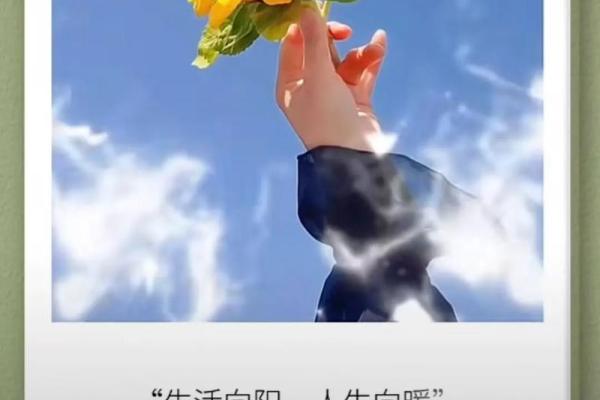 2014年的时光旅程：探索生活中的美好与挑战