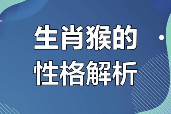 2004年猴宝宝的命运与性格解析