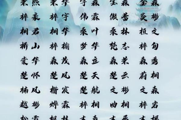 2022年男宝宝命运分析：如何为孩子选择吉利名字与五行搭配