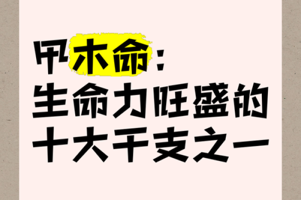 为什么木命是最好的命格？揭开命理的奥秘，享受生命的丰盛！