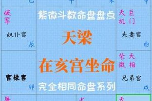 揭秘紫微命星：掌握人生轨迹的神秘符号