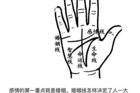 探索手相的秘密：如何通过手相看出幸福与美丽的女孩