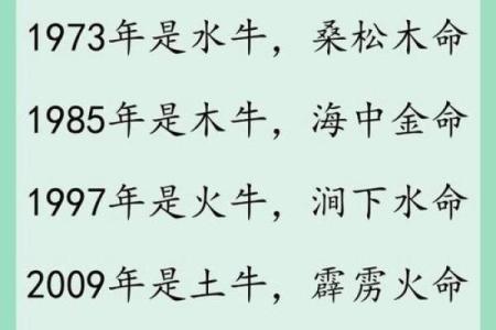 04年属什么？揭开属于你的命运秘密