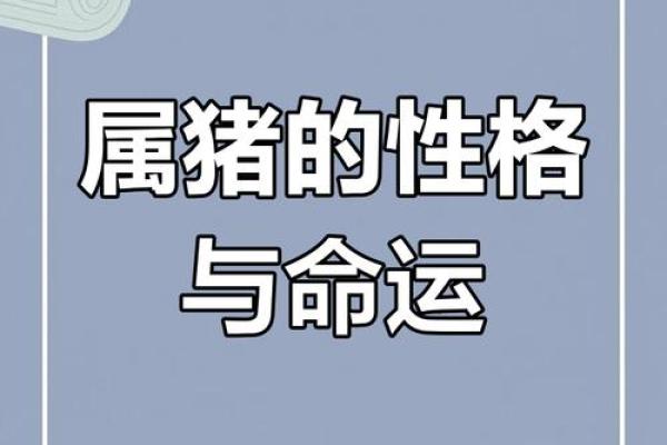 2018年出生属猪人的命运与性格详解