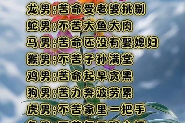 探索苦命女人的命格：命运背后的秘密与启示