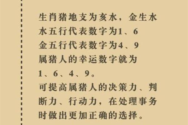 解读虚岁76属猪的命运：智慧与财富的象征