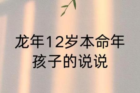 龙命男孩的命格解析：神秘与活力的结合之旅