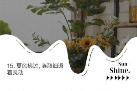 经常掉水里的命运：水波荡漾中的人生启示