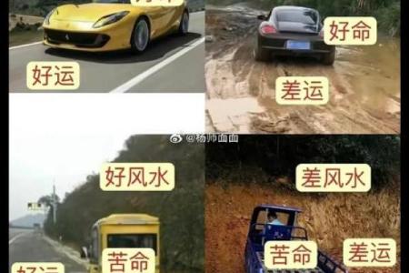 曾仕强解读：命与运的深刻哲理，揭示人生的走向与选择