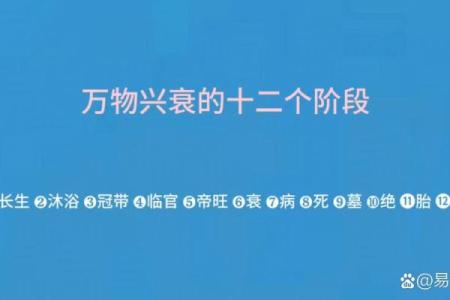 命运的轮回：揭秘被杀背后的命理现象与人生启示