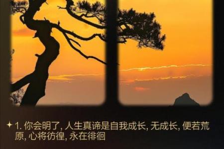 命势解读：探秘命运掌控与人生转折的奥秘