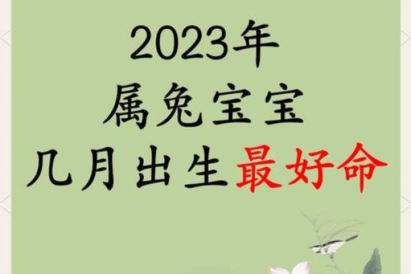 揭秘辰时出生的兔子命运：性格、事业与家庭的全景探索