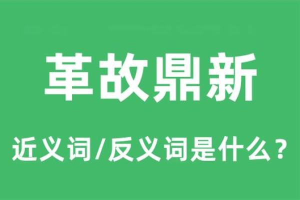革过去革过命的命，是什么命！探寻其中的深意与哲理