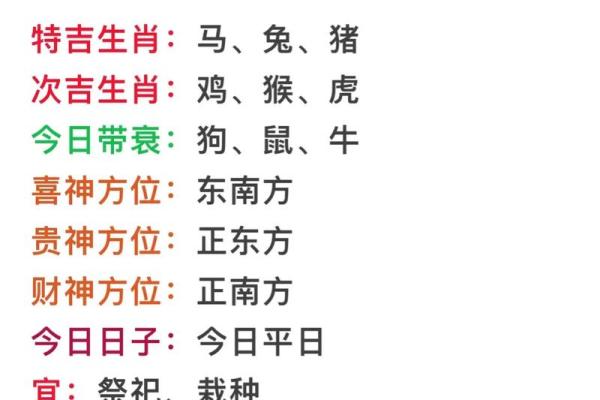 2023年71岁属兔的八字命理解读与人生智慧