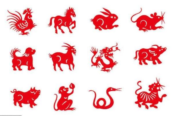 2019狗年与猪年命理解析：揭示你的命运与运势