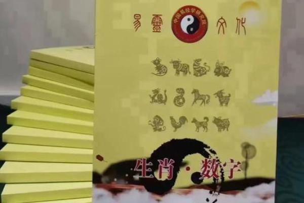 探秘命瓤：了解你的命运密码，开启人生新篇章！