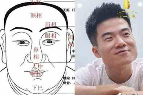 探秘面相学：额头突出的命运解析与人生启示