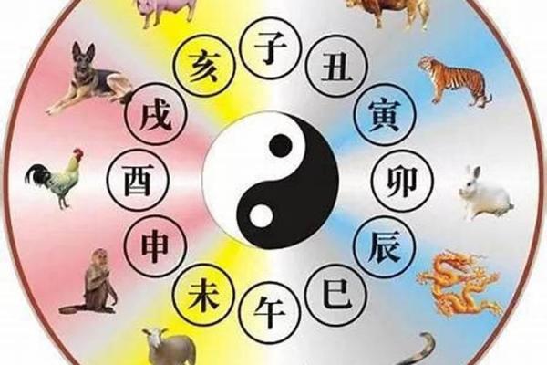 1996年出生女孩的命运之旅：中国生肖与五行的深层解读