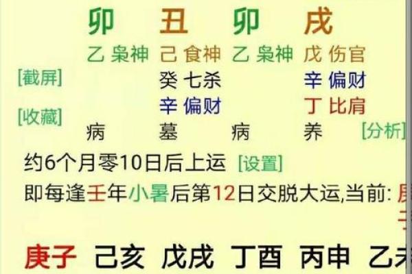 探秘命格：解读算命背后的奥秘与人生规划