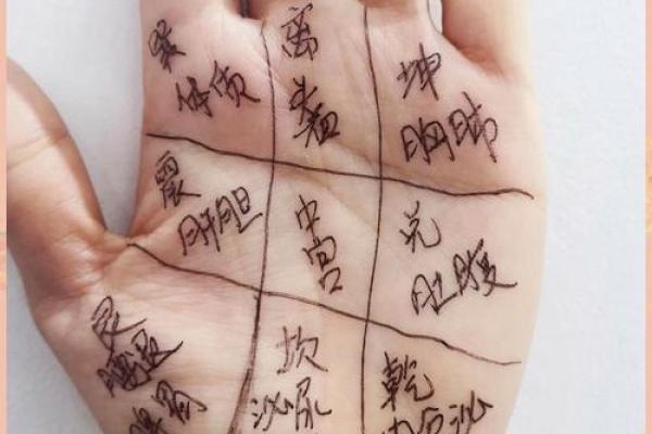探秘女人左手掌纹：揭示命运与未来的秘密