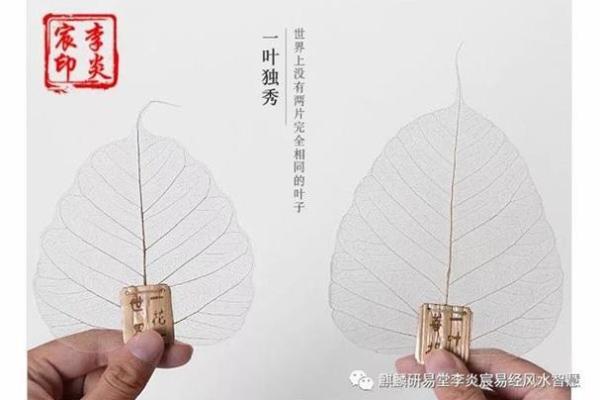 丙寅日命格解读：探寻背后的智慧与人生之路