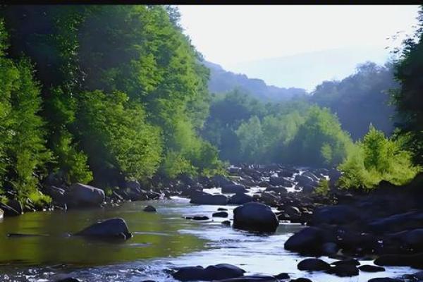 戊午年：命局与运势的深度解析与探讨
