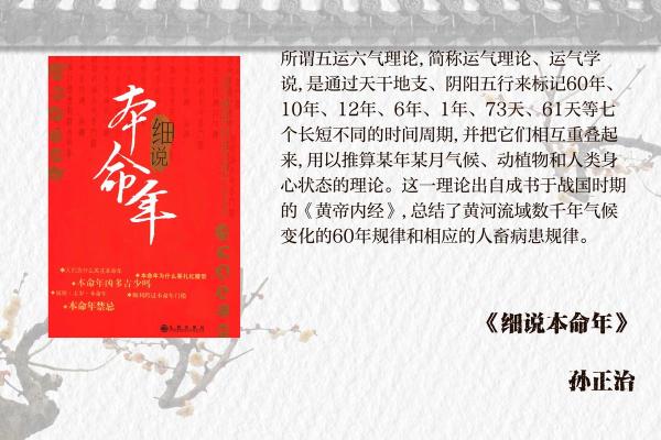 戊午年：命局与运势的深度解析与探讨