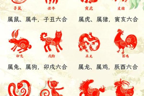 命的符号与生肖的相互联系：探讨中国文化中的神秘密码