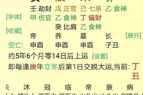 探寻己卯丁丑乙亥：五行命理与人生轨迹的奥秘